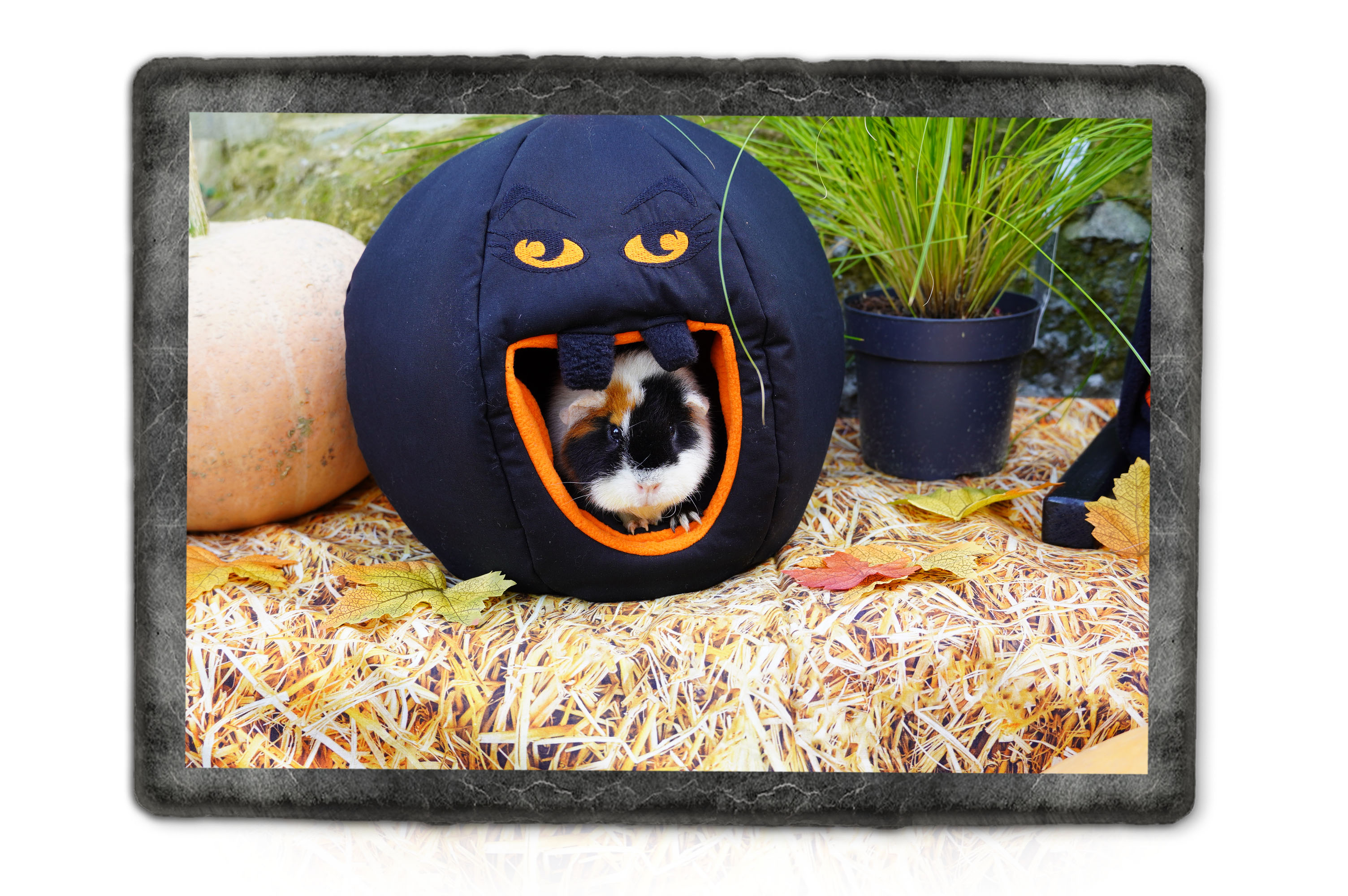 Halloween Kategorie