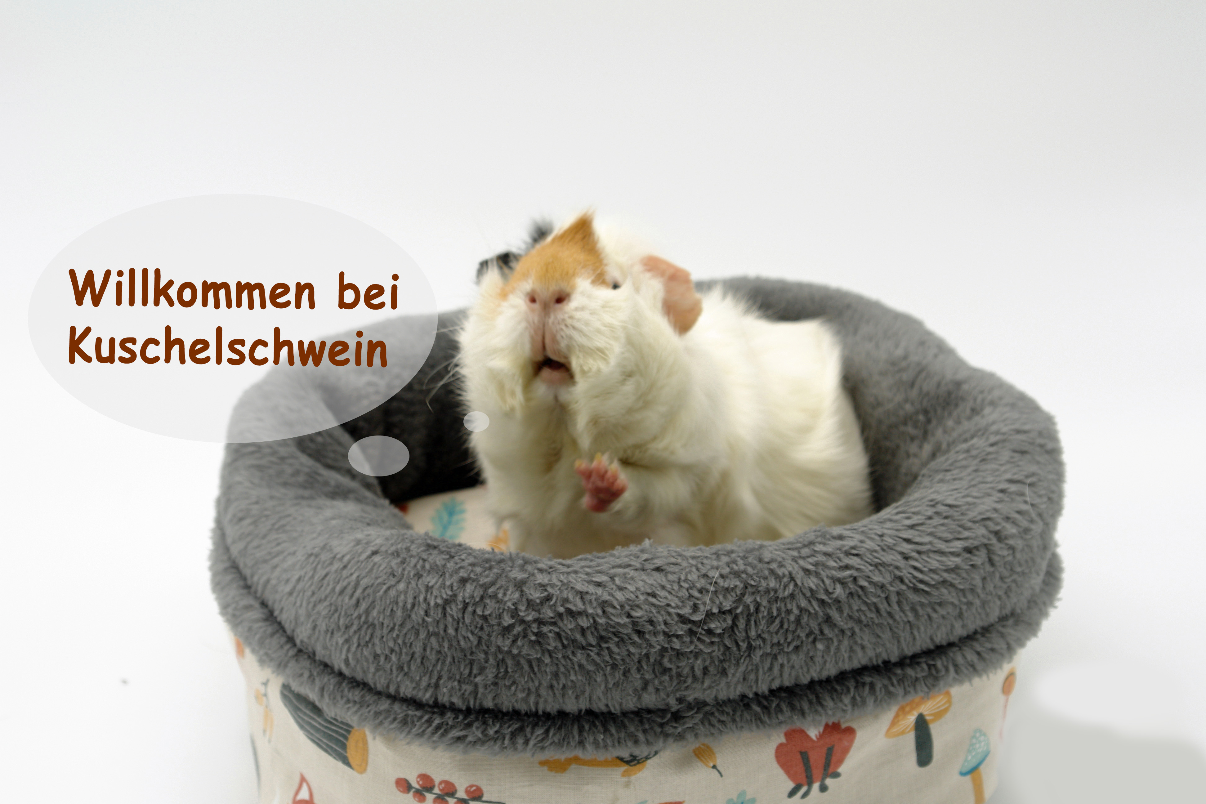 Kuschelsachen Meerschweinchen - Kuschelschwein