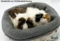 Preview: Kuschelkiste Meerschweinchen "Knopfblume"  Musterbild 2