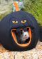 Preview: Kuschelkürbis Halloween 1