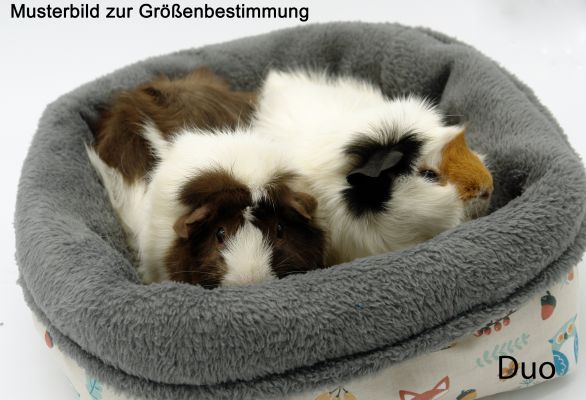 Kuschelkiste Meerschweinchen "Knopfblume"  Musterbild 2