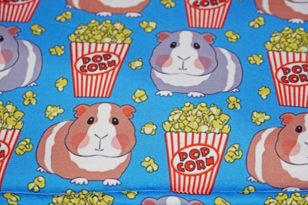 Sofa Popcorn 5