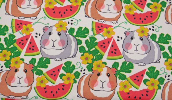 Urindichte Kuscheldecke Sommerschweinchen Stoff