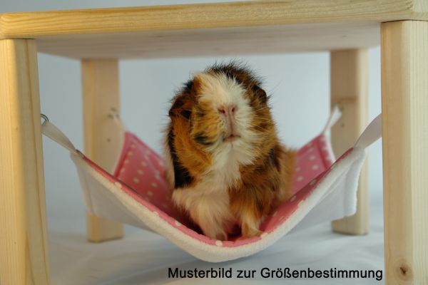 Meerschweinchen Hängematte Streifen Punkte Musterbild