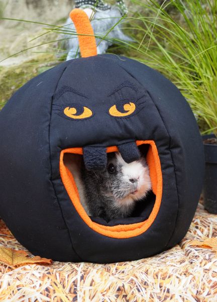 Kuschelkürbis Halloween 1