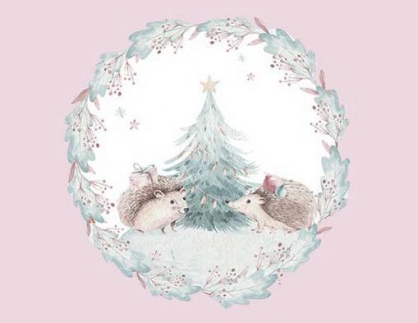 Urindichte Kuscheldecke Weihnachtsigel 2